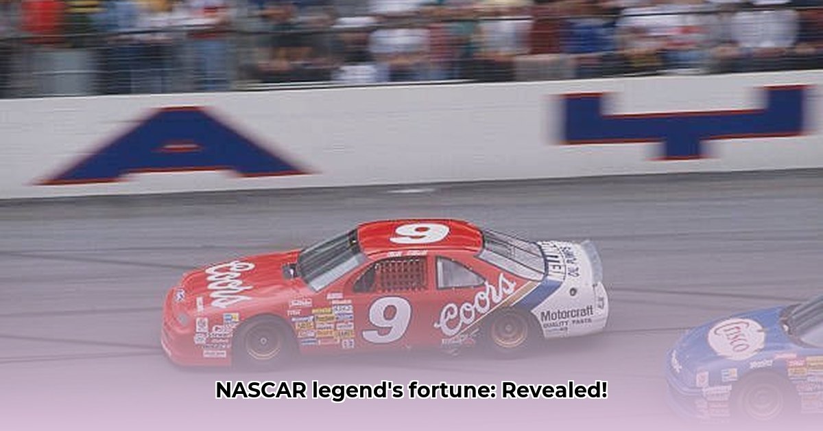 bill-elliott-net-worth